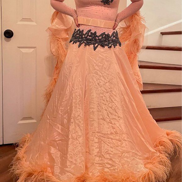 Competition Standard Dress - pre-owned - Picture 2 of 11